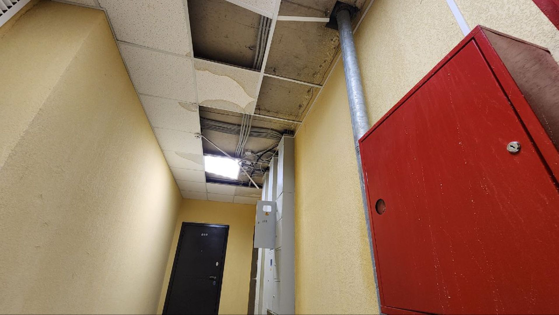 Дмитров, ЧП, Глава Дмитровского округа,