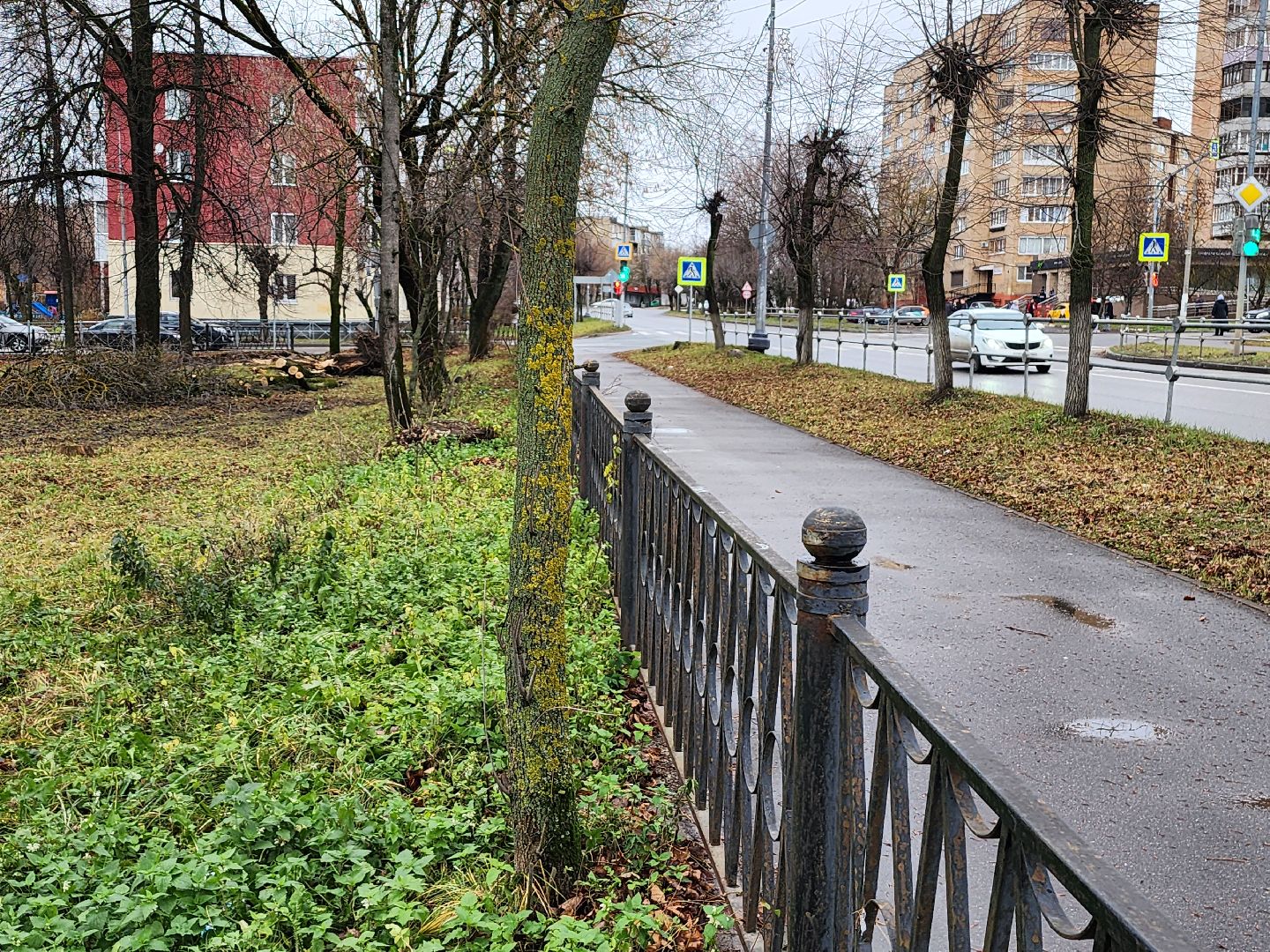 сквер, благоуйстройство, серпухов, северная площадь, конкурс благоустройства,