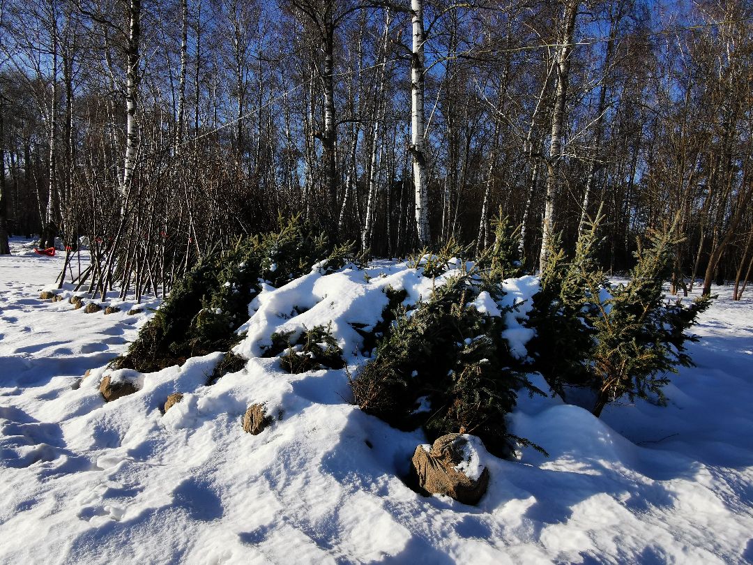 Подольск Спорт