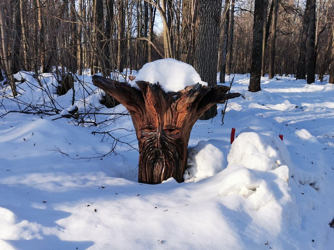 Подольск Спорт
