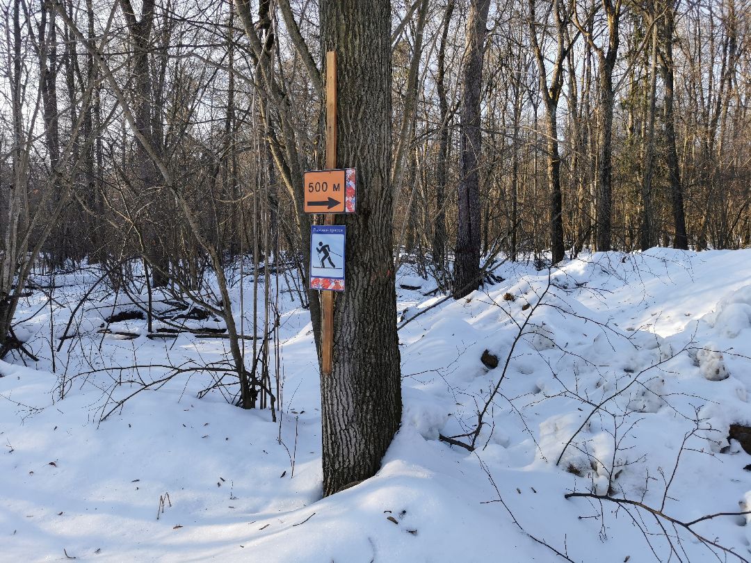 Подольск Спорт