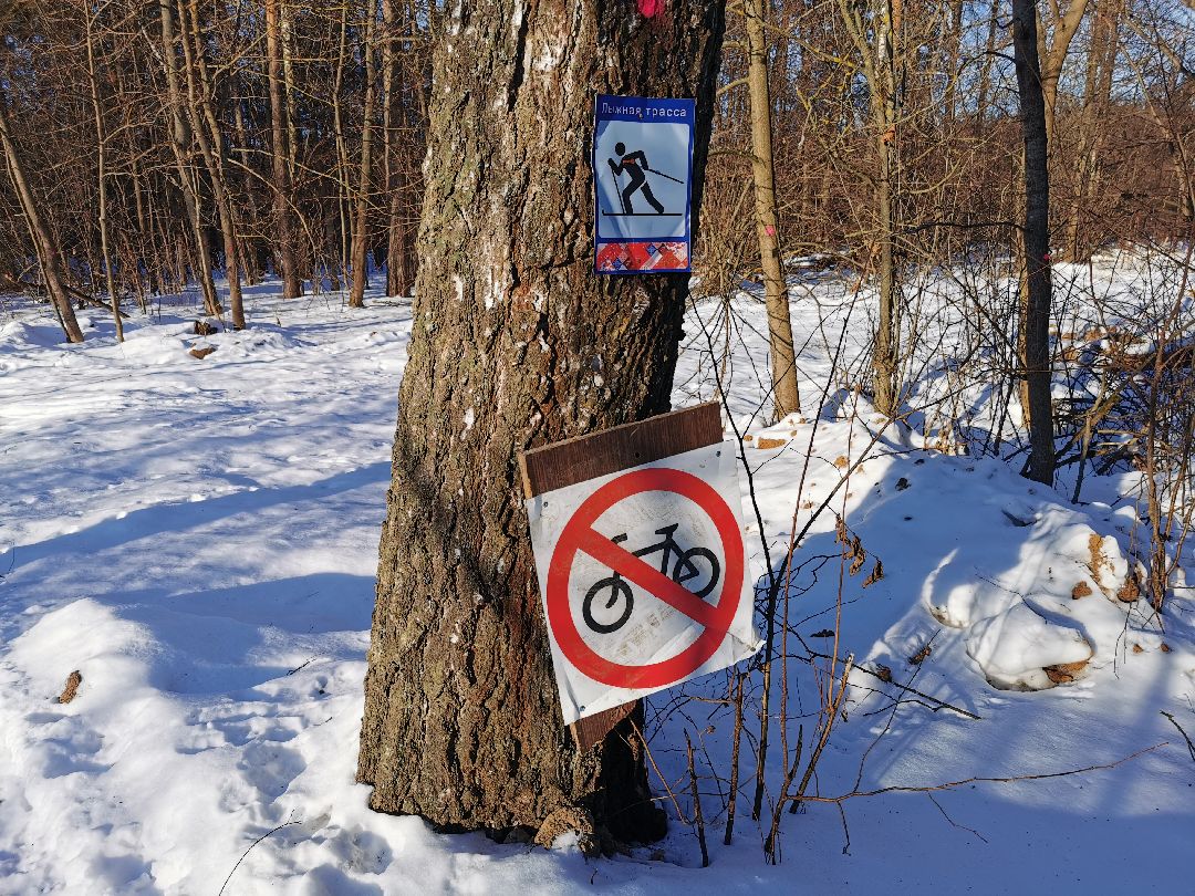 Подольск Спорт