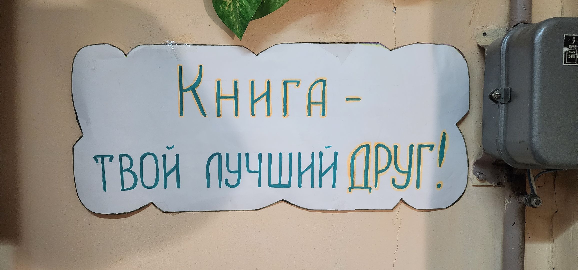 Коломна, книги, буккроссинг, библиотека,