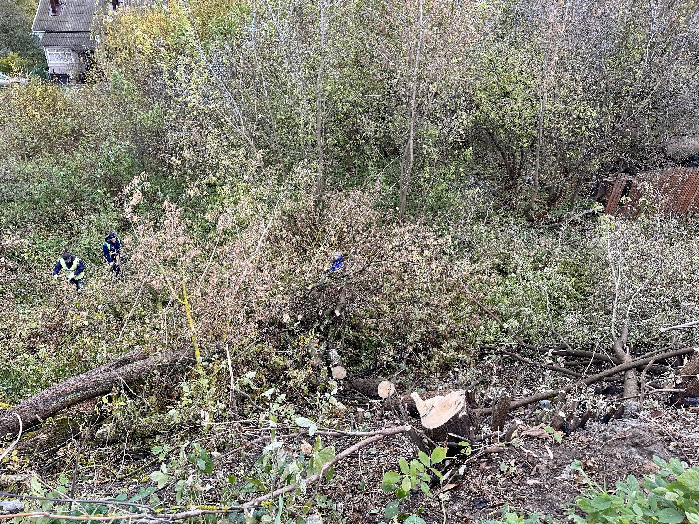 Клин, общество, ЖКХ, благоустройство,