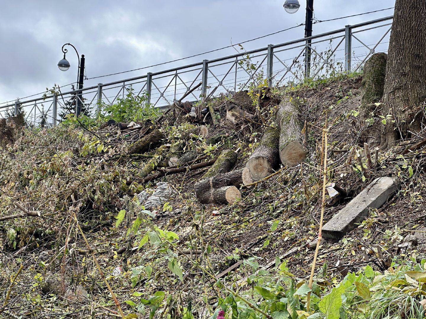 Клин, общество, ЖКХ, благоустройство,