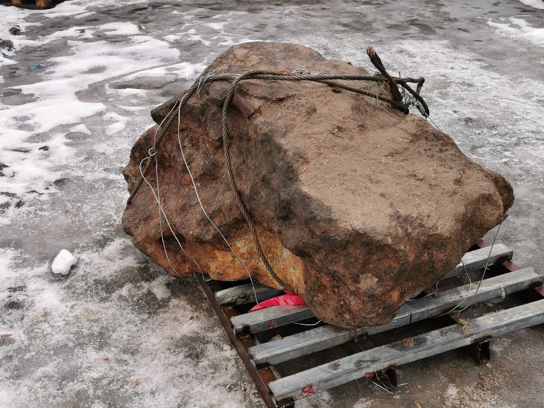 Подольск Школьники