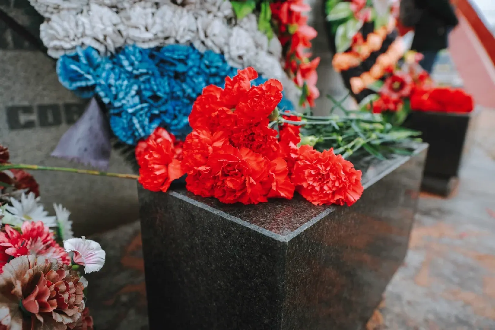 химки, образование, монумент, кадеты, открытый урок,