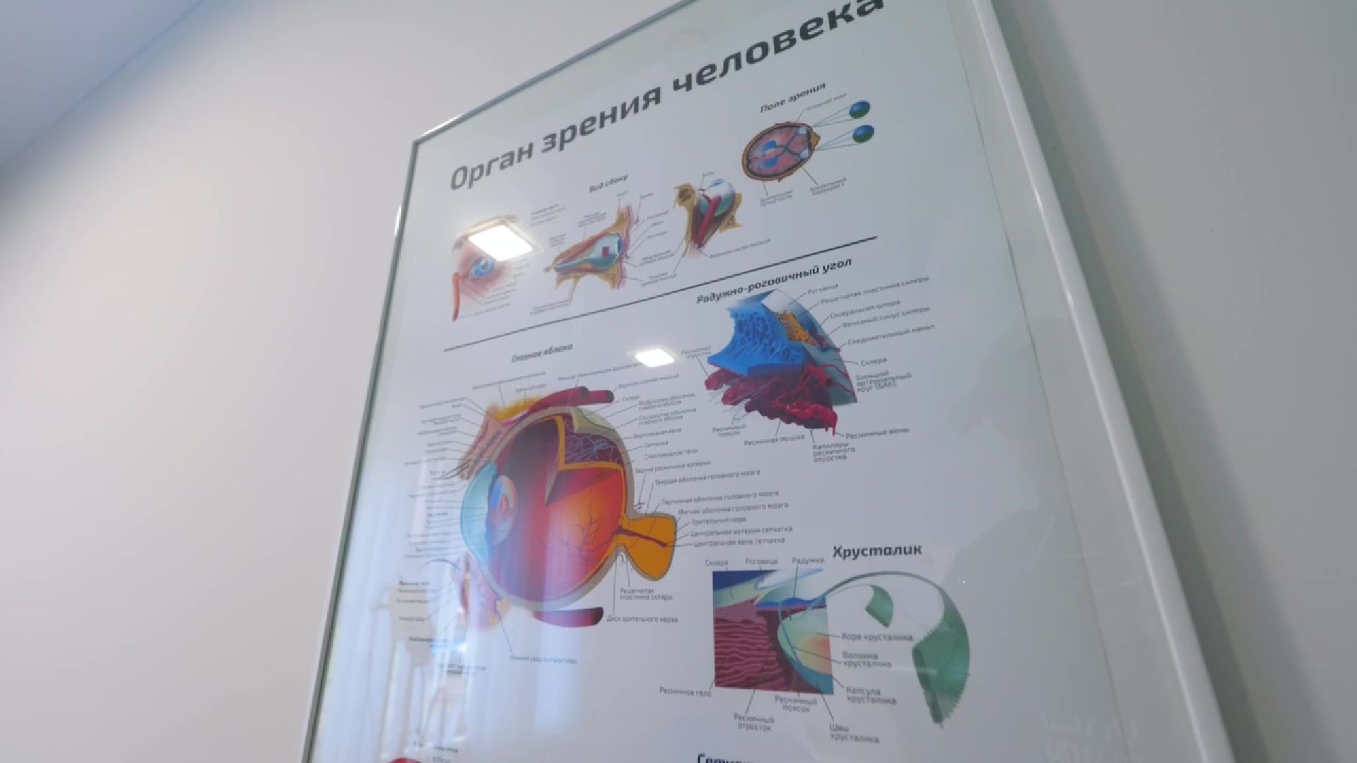 Реутов, офтальмология, зрение, общество слепых, бесплатная помощь,