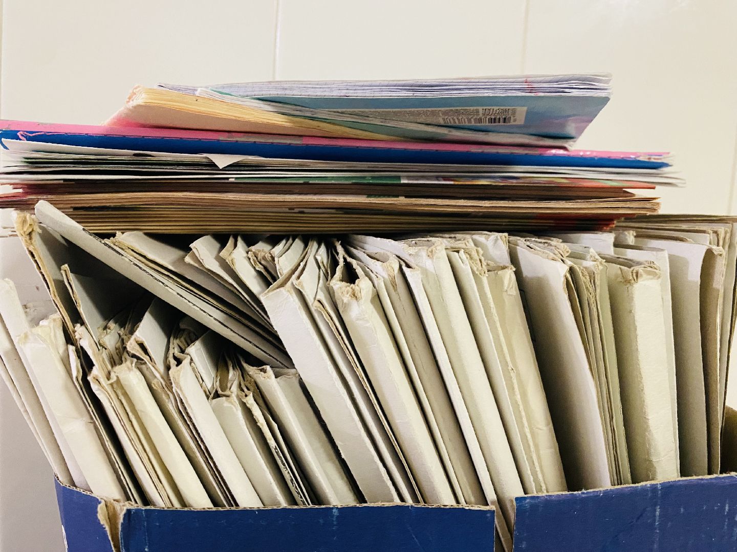 БумБатл, Макулатура, сдай бумагу, экология, экологическая акция, домодедово, подмосковье, экоинициатива, экосистема, сохранение природы,