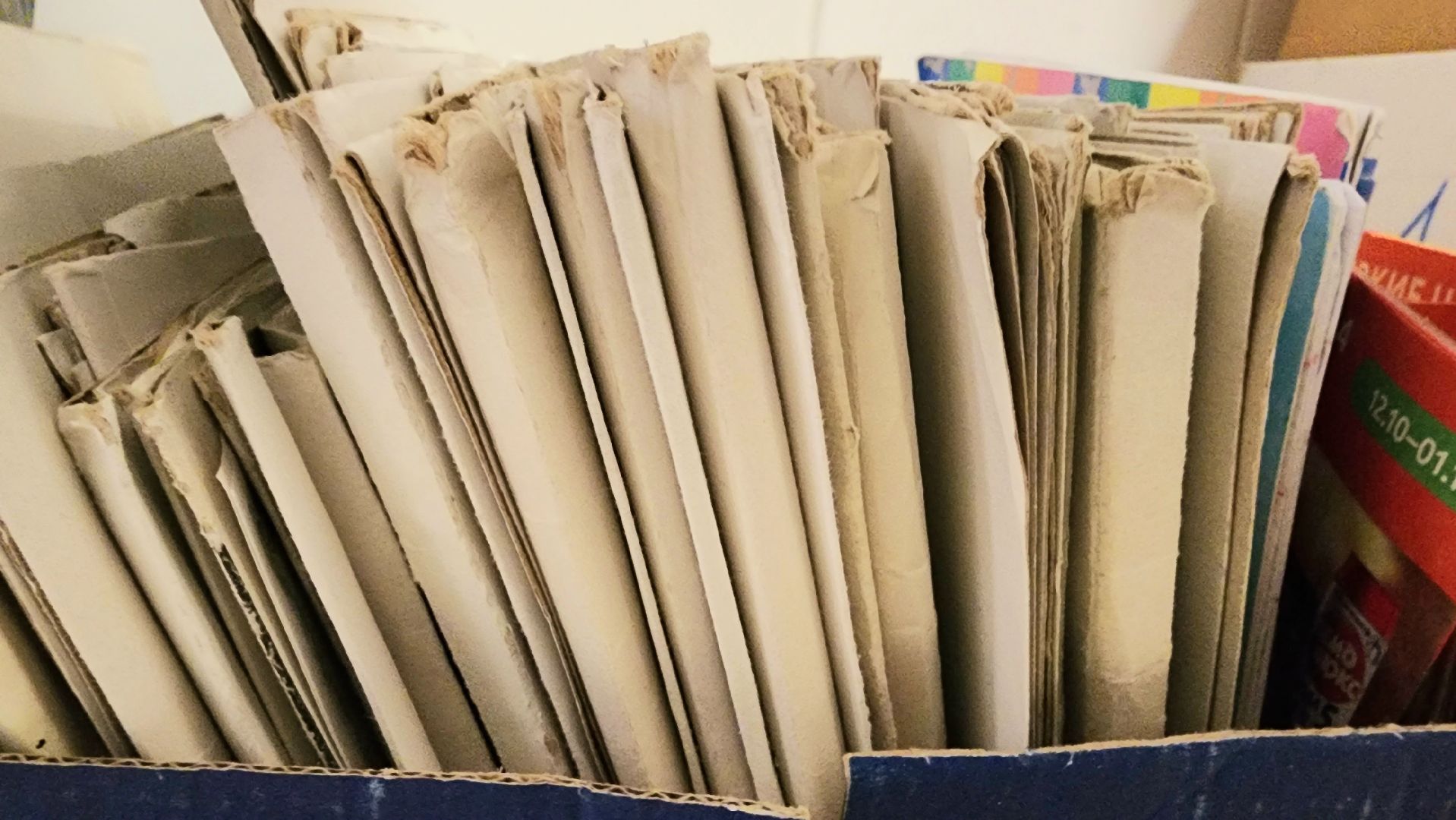 БумБатл, Макулатура, сдай бумагу, экология, экологическая акция, домодедово, подмосковье, экоинициатива, экосистема, сохранение природы,