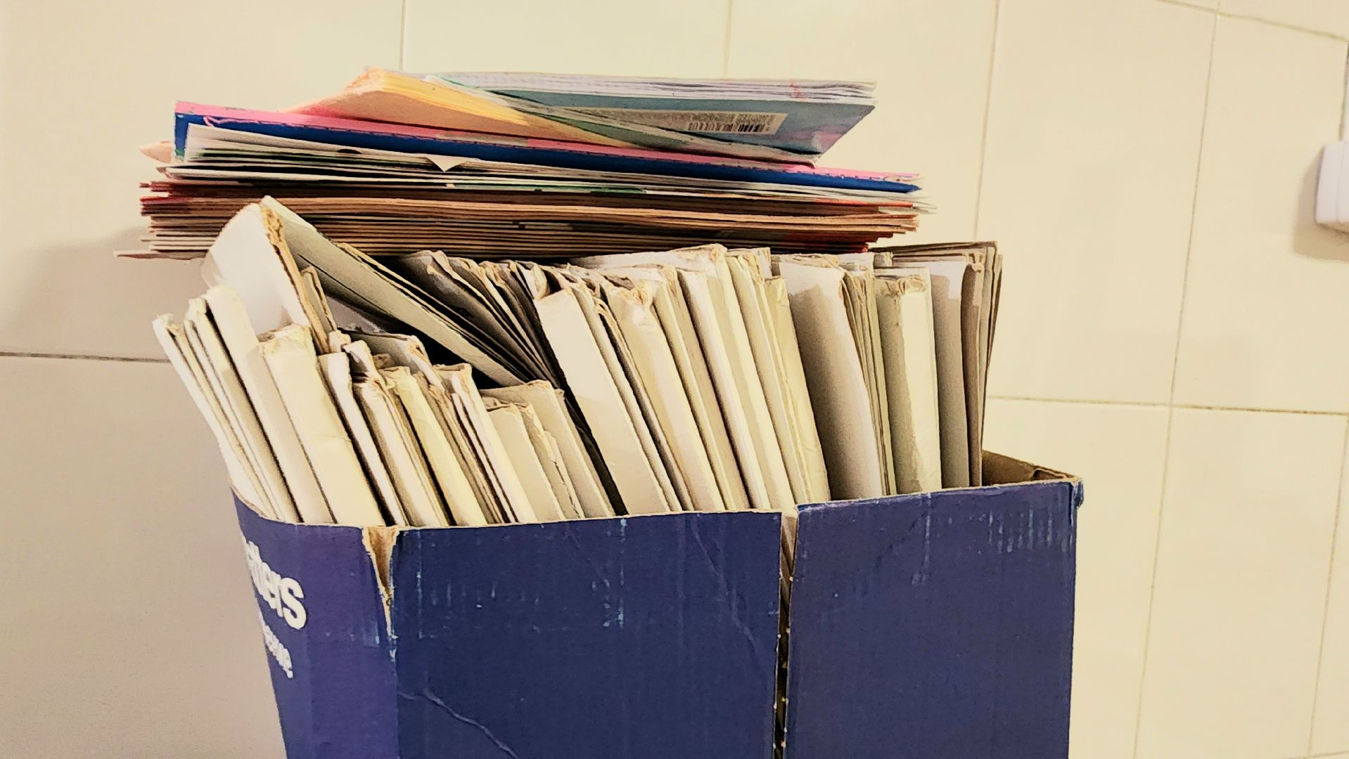 БумБатл, Макулатура, сдай бумагу, экология, экологическая акция, домодедово, подмосковье, экоинициатива, экосистема, сохранение природы,