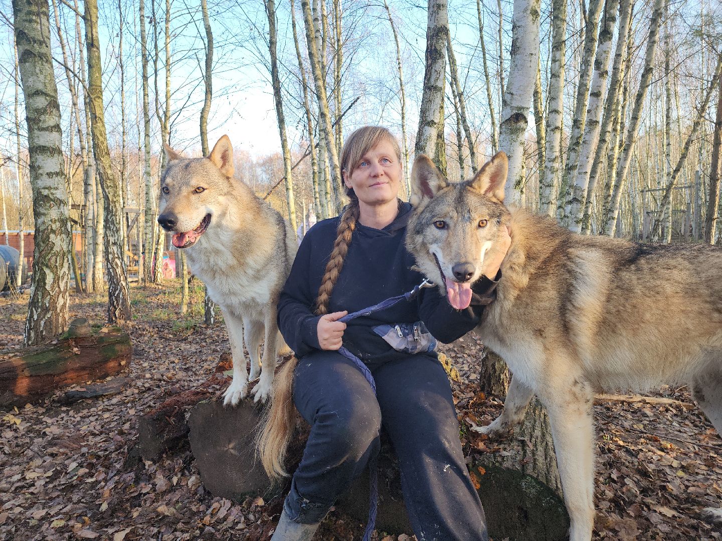 кашира, зоостудия ковчег, киноволки, дух байкала, актеры,