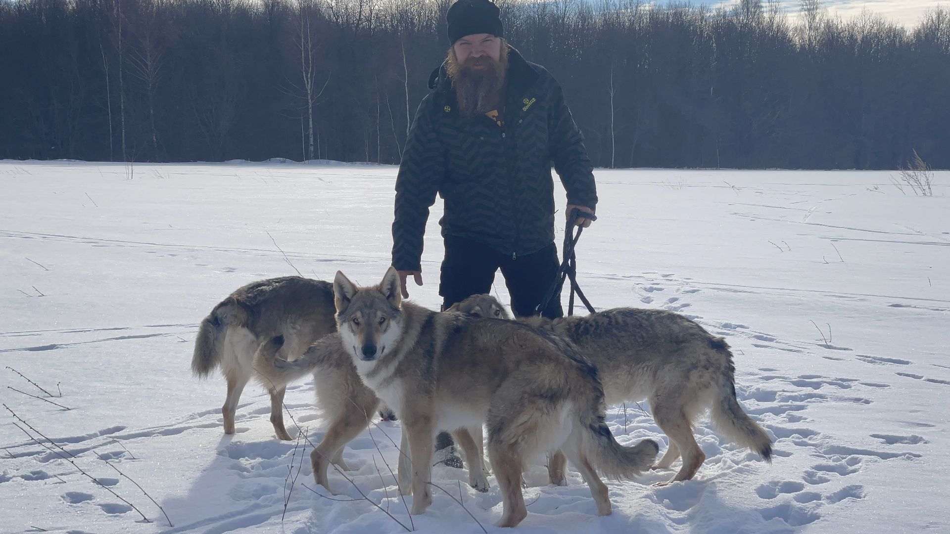 кашира, зоостудия ковчег, киноволки, дух байкала, актеры,