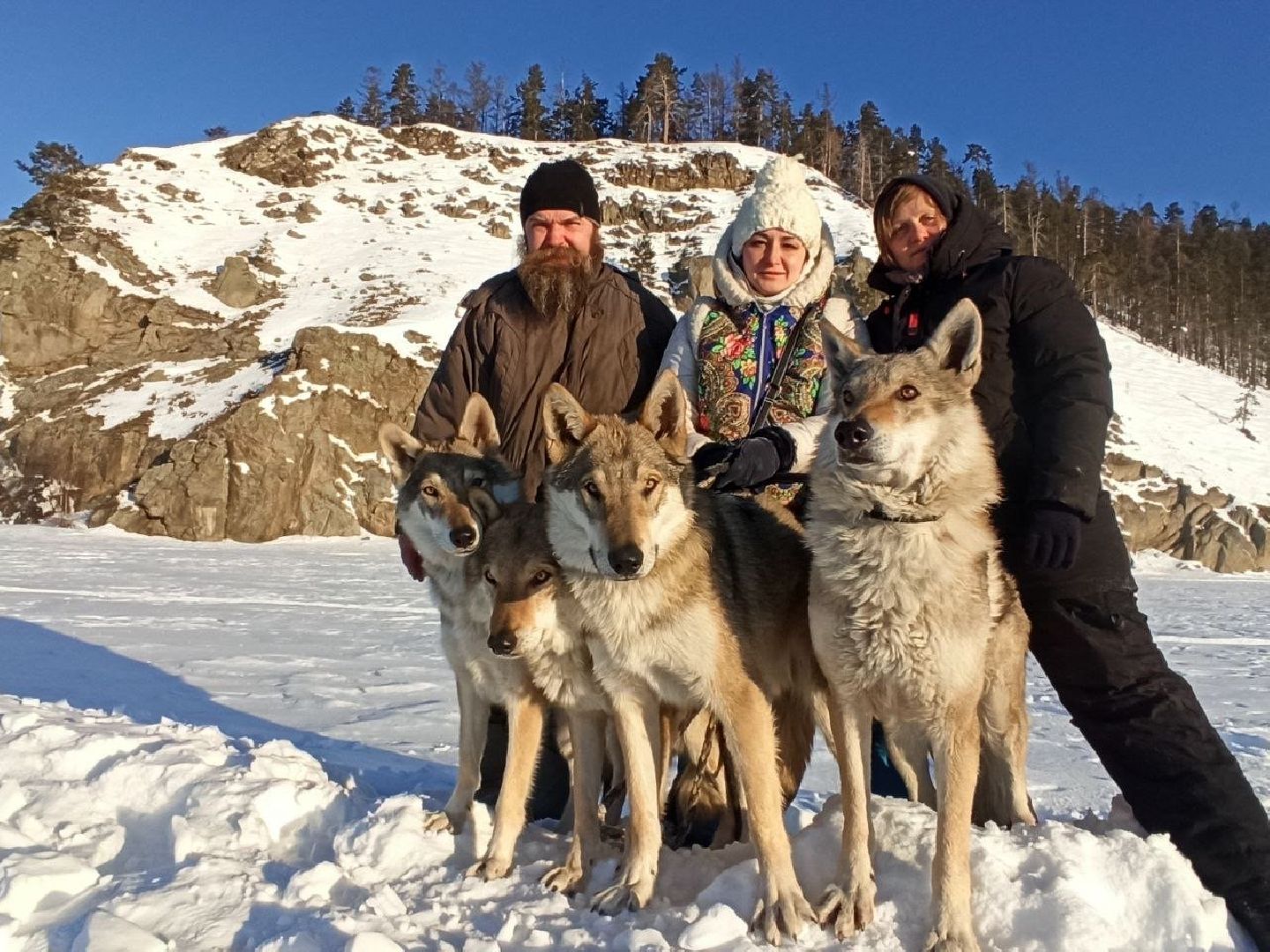 кашира, зоостудия ковчег, киноволки, дух байкала, актеры,