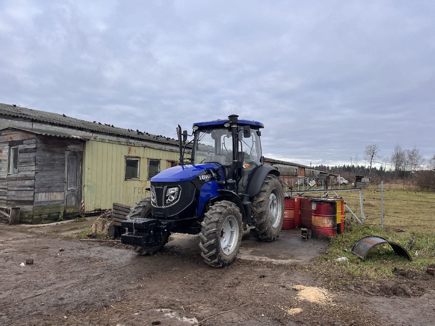 шаховская, коровы, молоко, хозяйство, ферма,