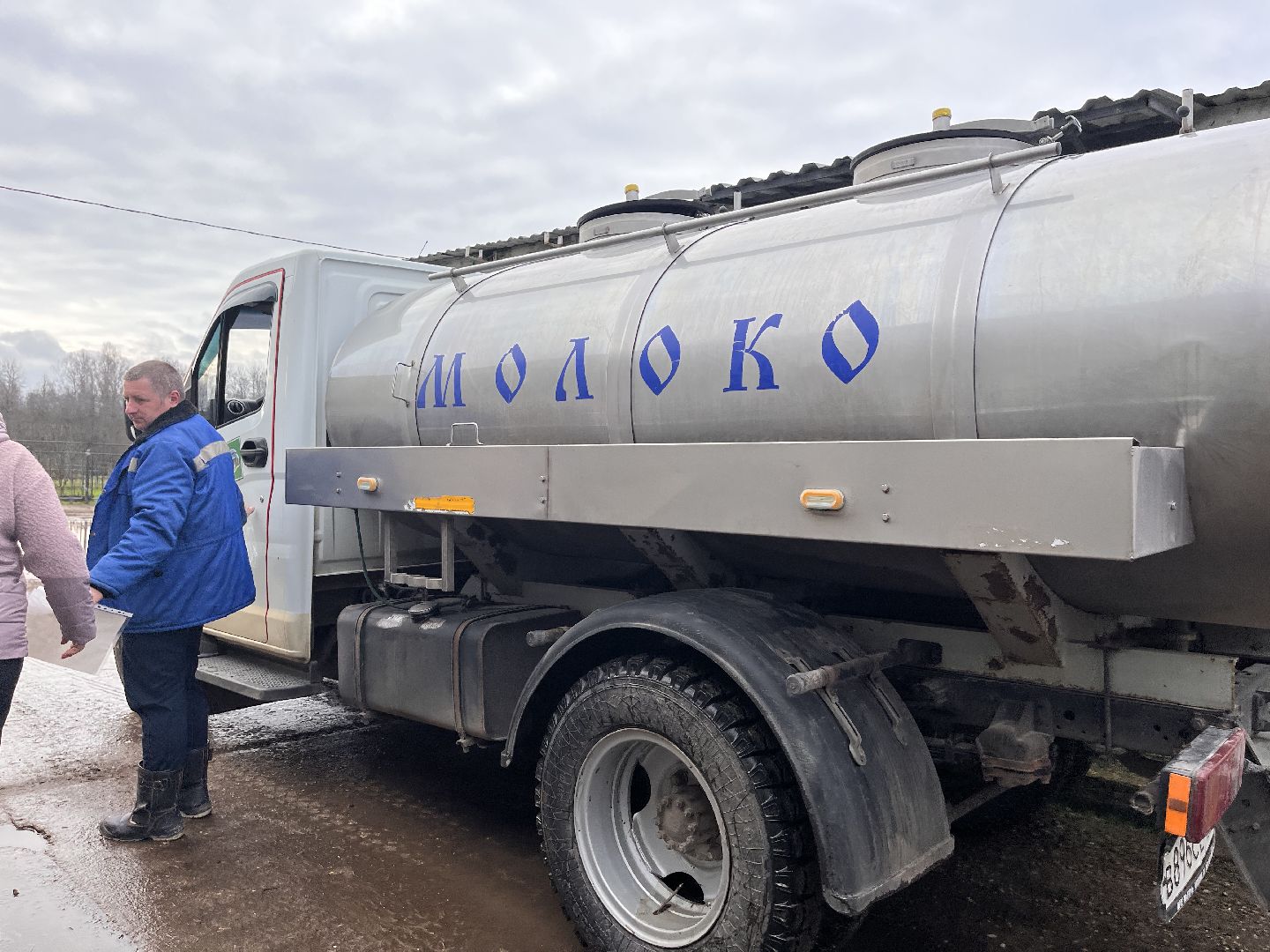 шаховская, коровы, молоко, хозяйство, ферма,