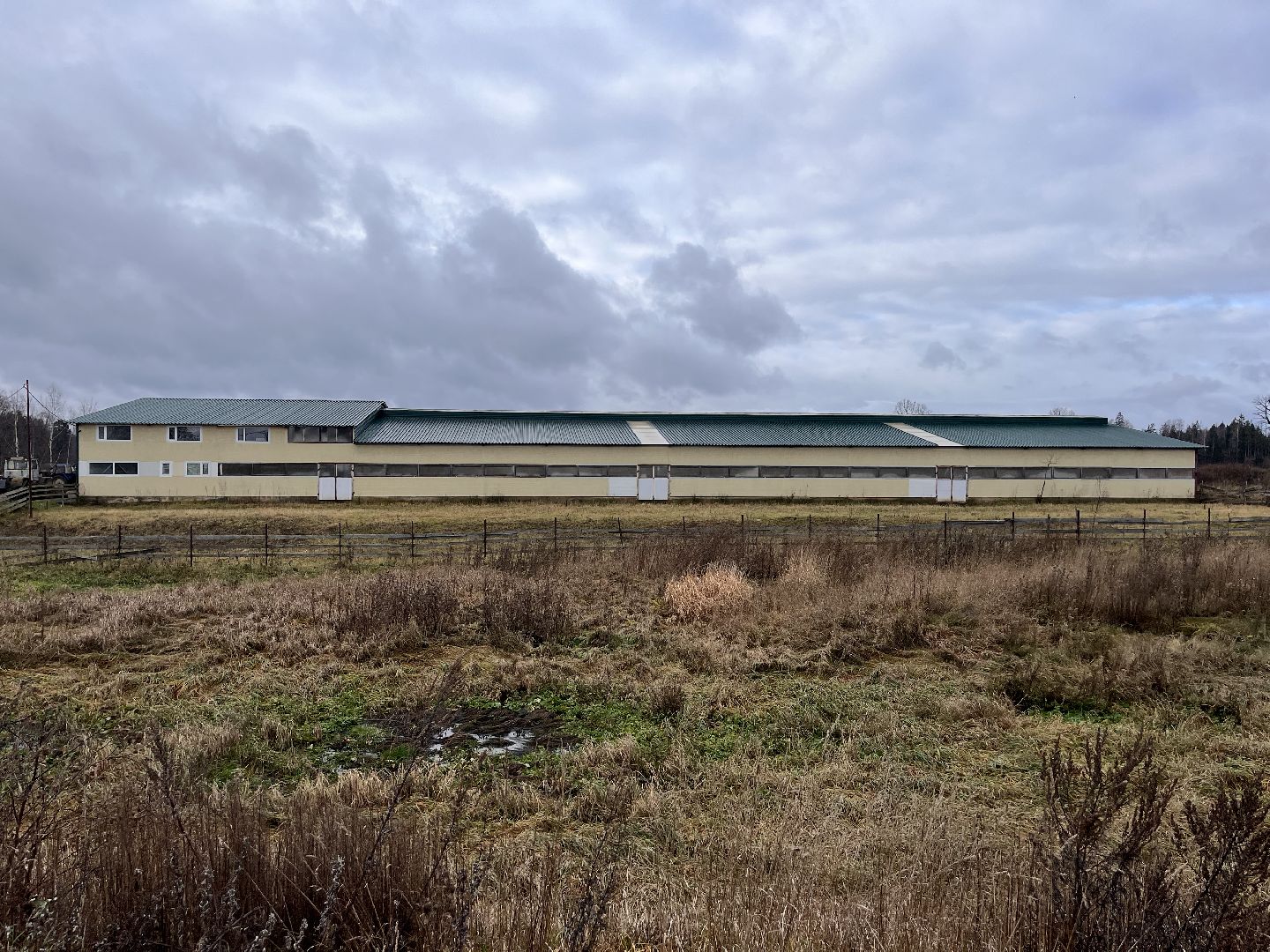 шаховская, коровы, молоко, хозяйство, ферма,