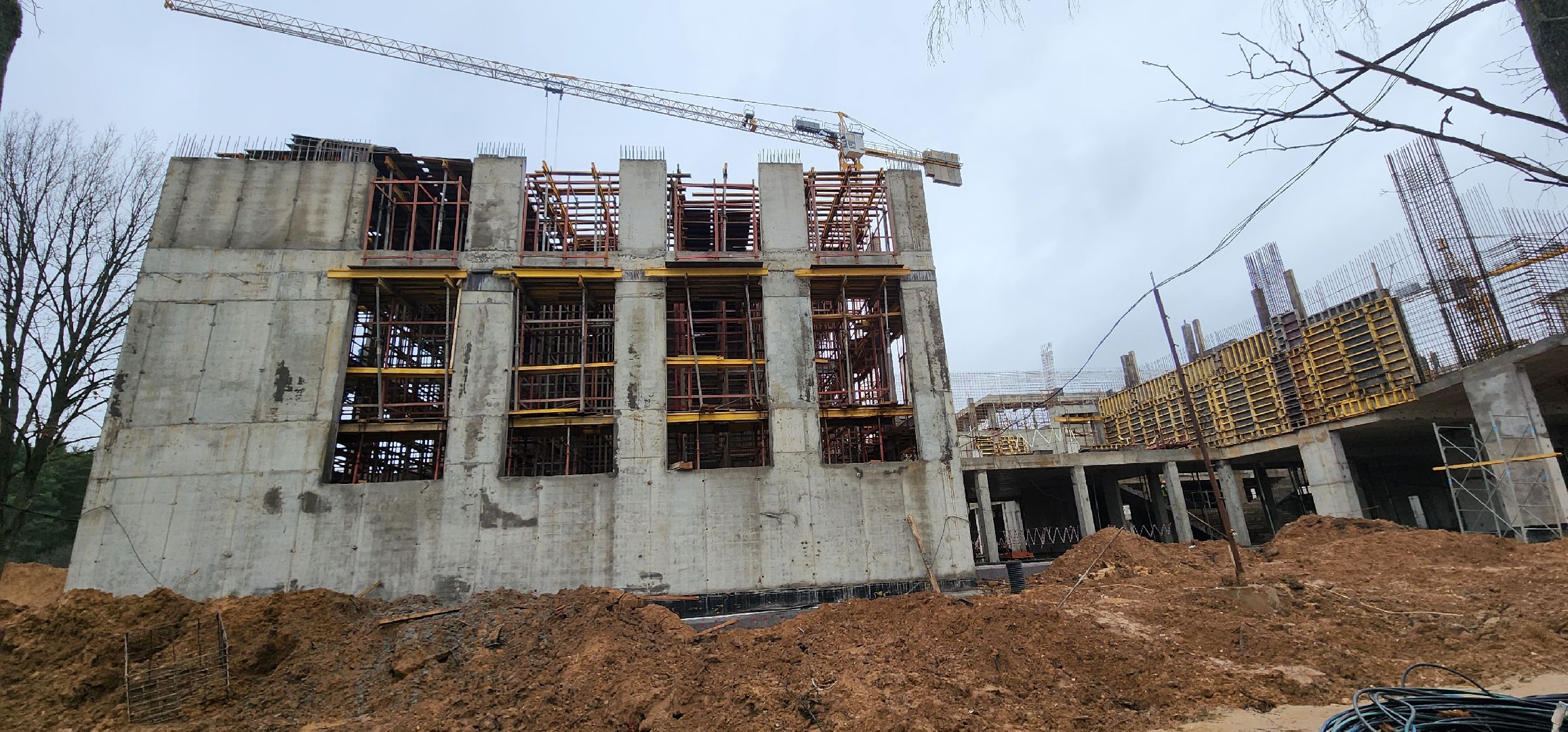 родительский контроль, новая школа, Барыбино, Домодедово,