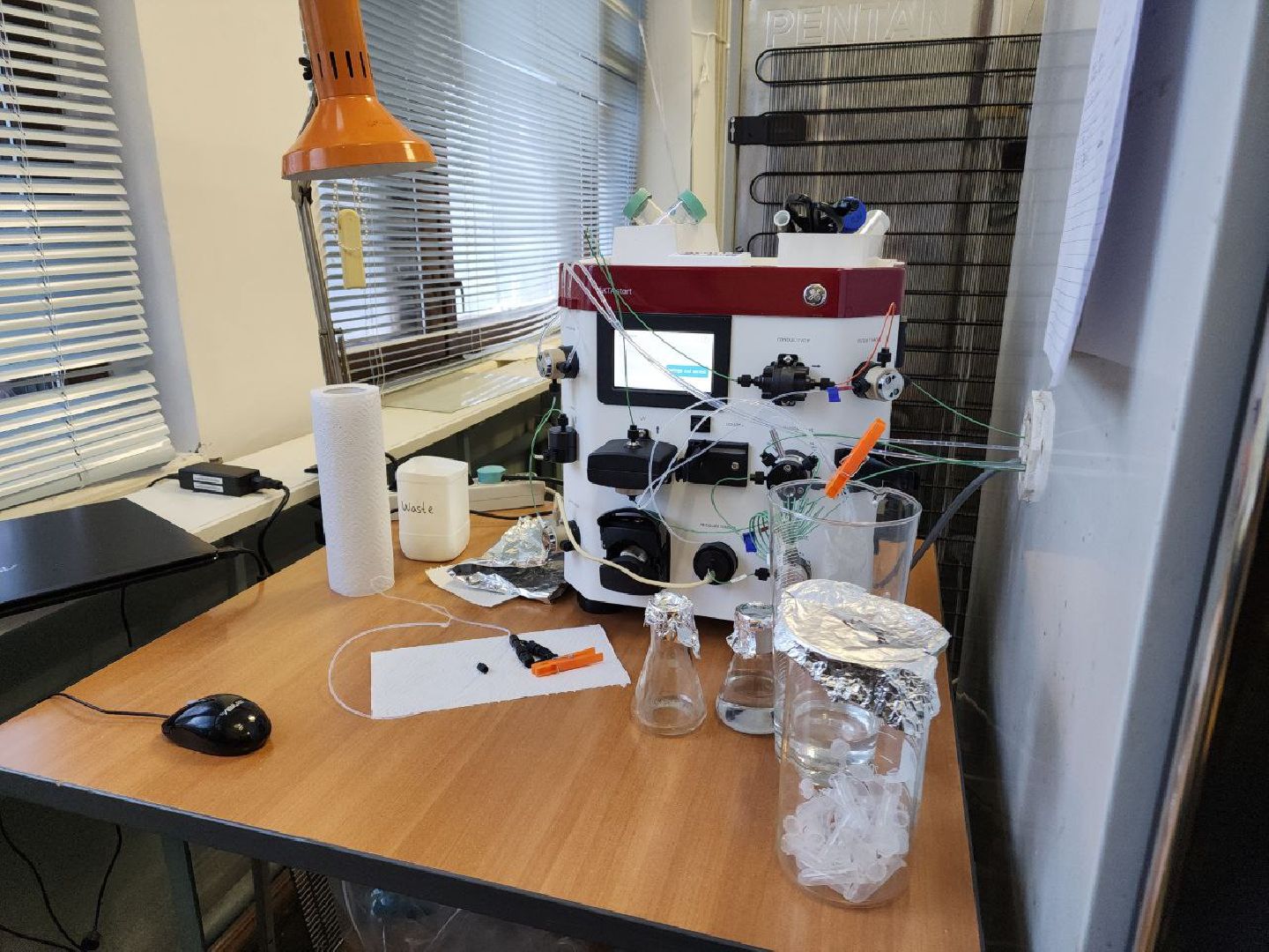 пущино, наука, десятилетие науки и технологий, наука рядом,