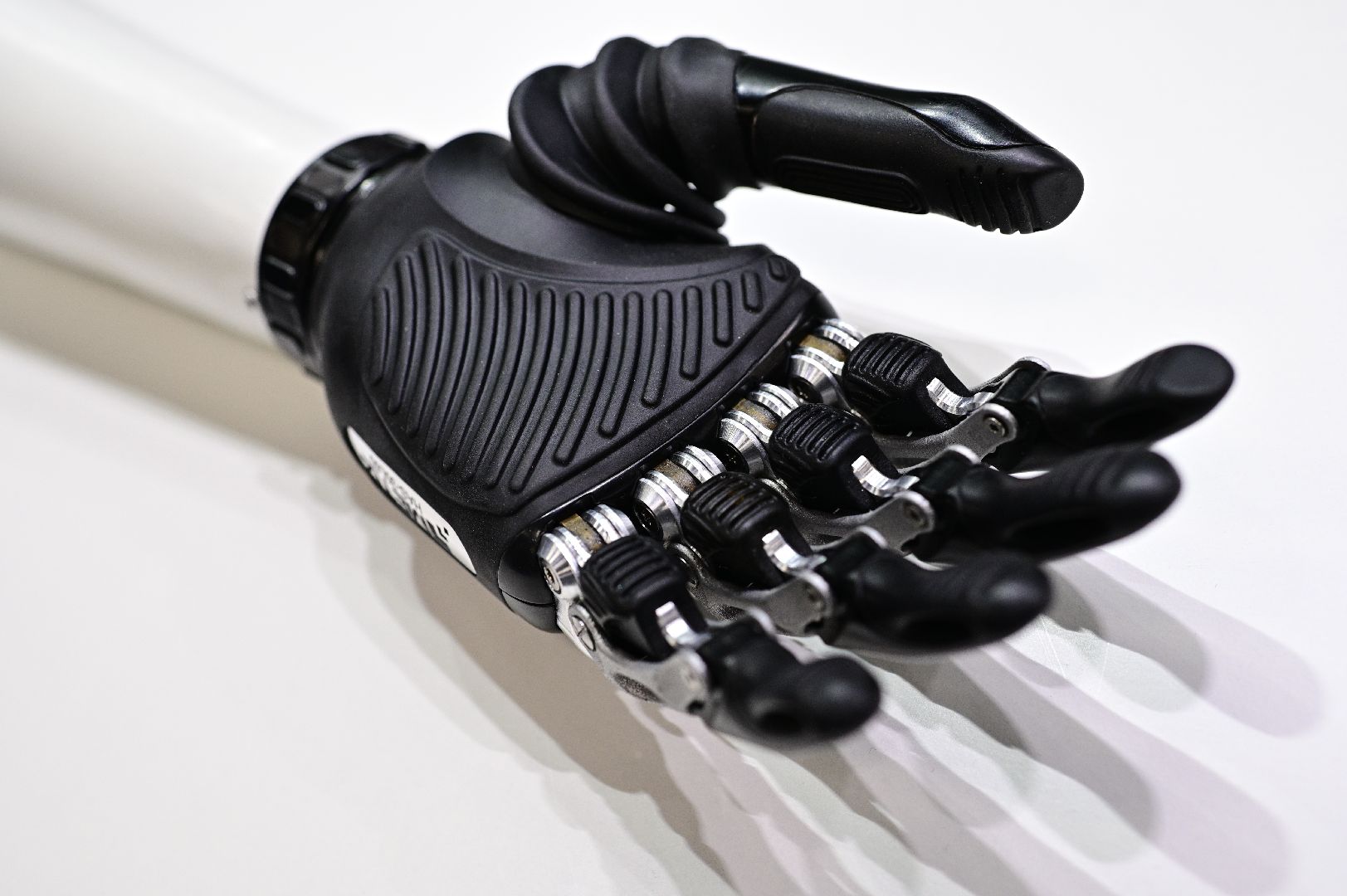 экономика, протезирование,