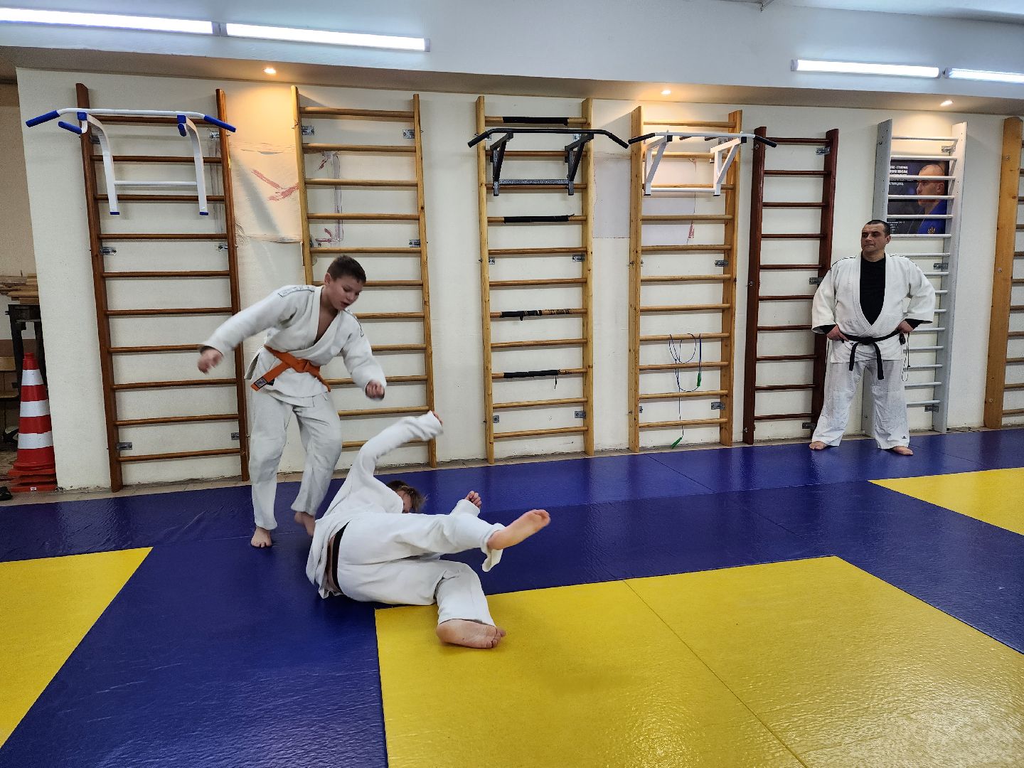 ивантеевка, спорт, дзюдо, соревнования,