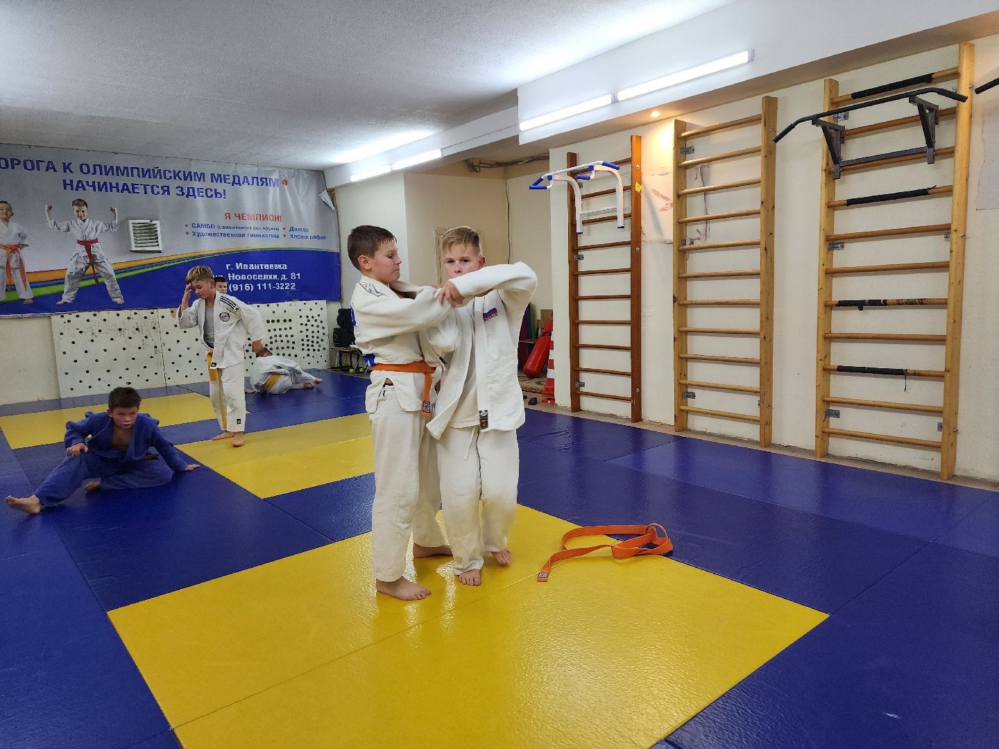 ивантеевка, спорт, дзюдо, соревнования,