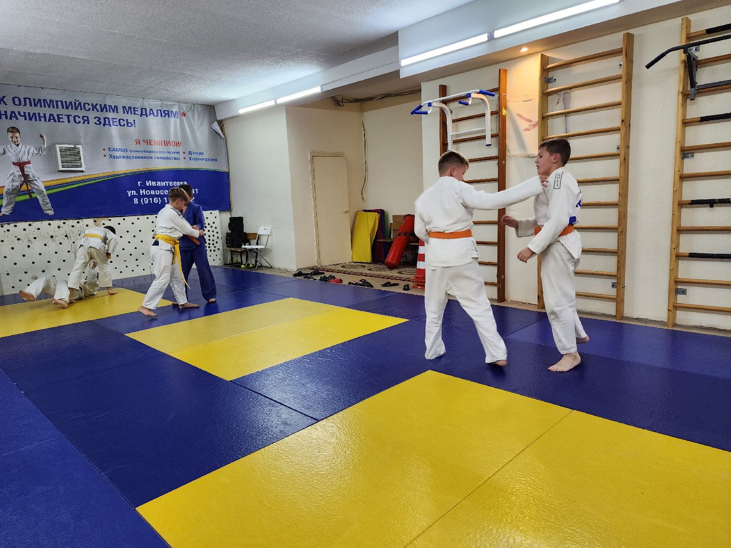 ивантеевка, спорт, дзюдо, соревнования,