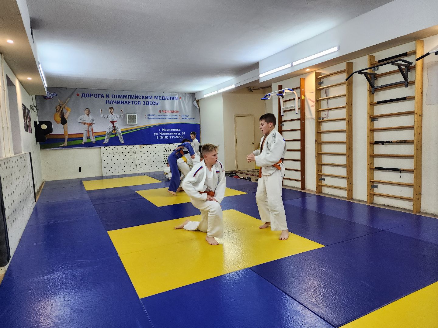 ивантеевка, спорт, дзюдо, соревнования,