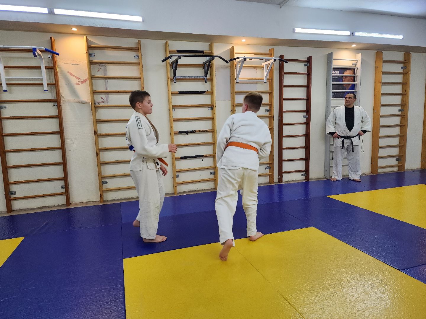 ивантеевка, спорт, дзюдо, соревнования,