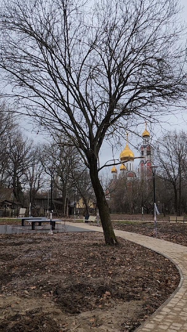 одинцово, благоустройство, сквер, улица, детская площадка, спортивная площадка,