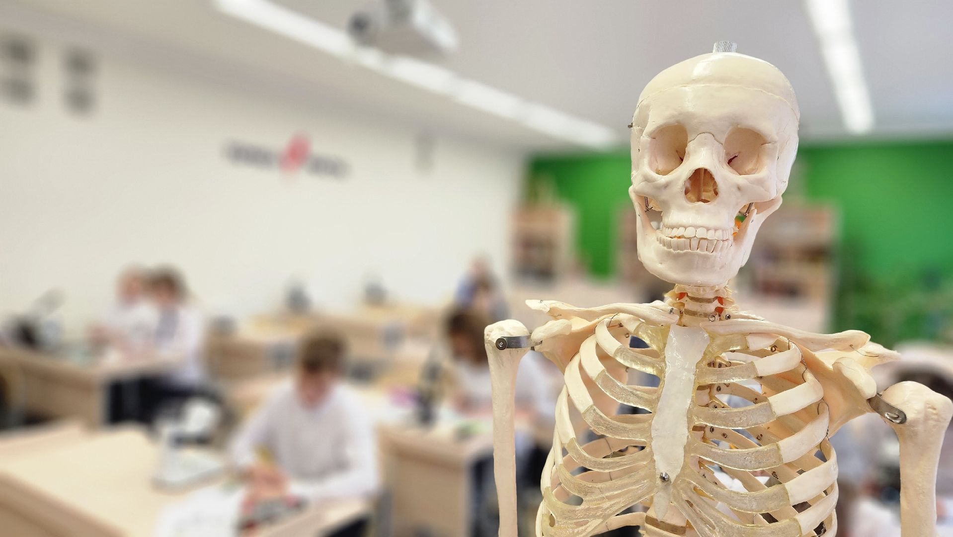 СИЛА, ИФВЭ, Протвино, НИЦ Курчатовский институт, Курчатовские классы, образование,