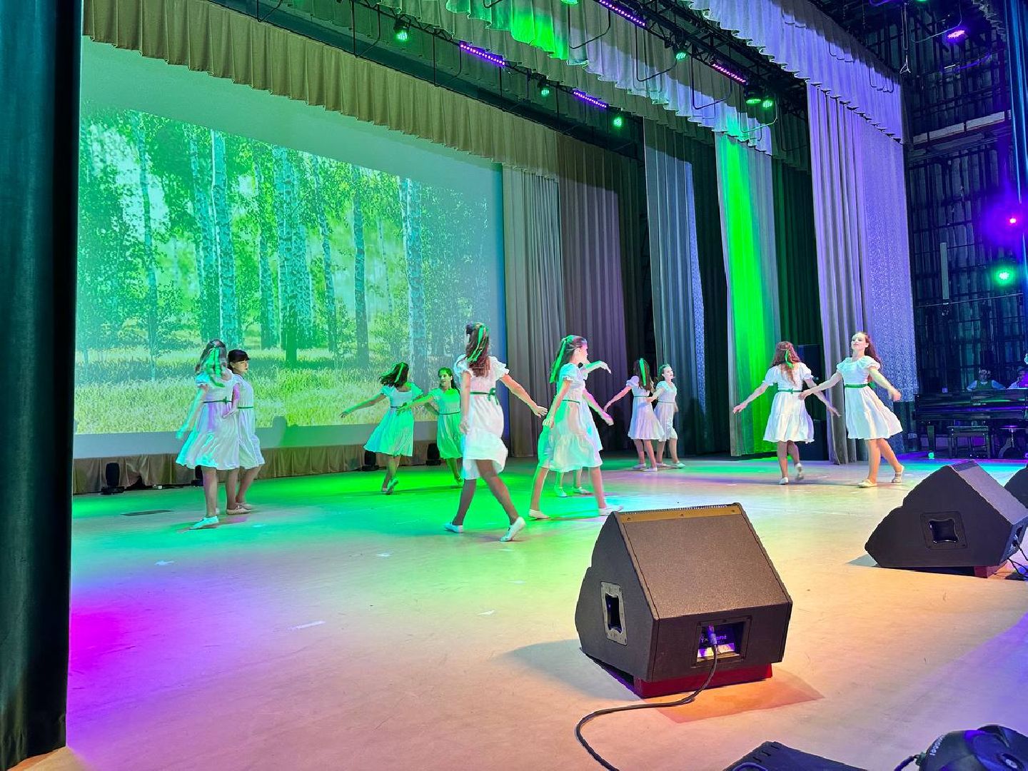 день народного единства, праздничный концерт, россия многонациональная, Наро-Фоминск,