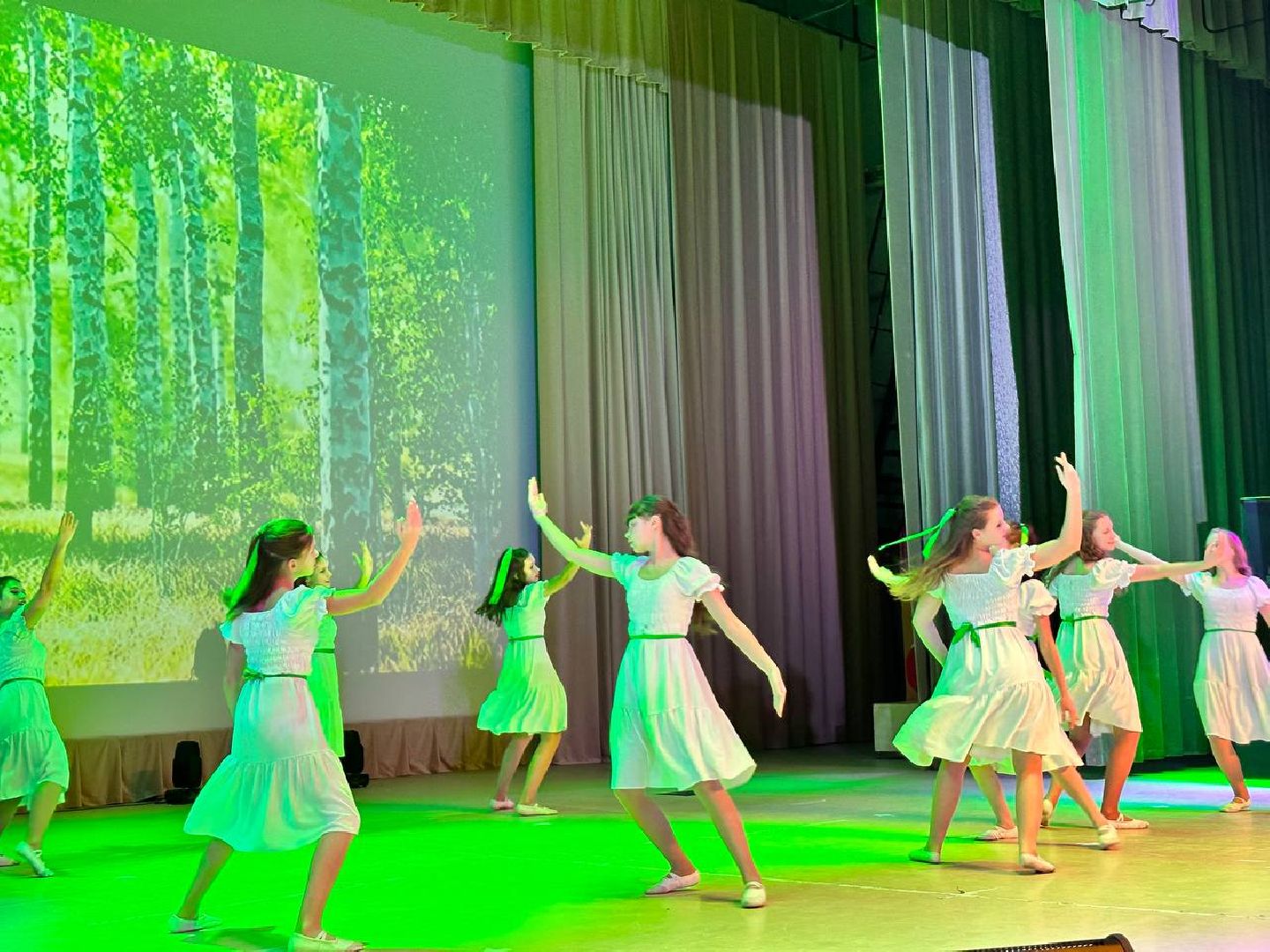 день народного единства, праздничный концерт, россия многонациональная, Наро-Фоминск,