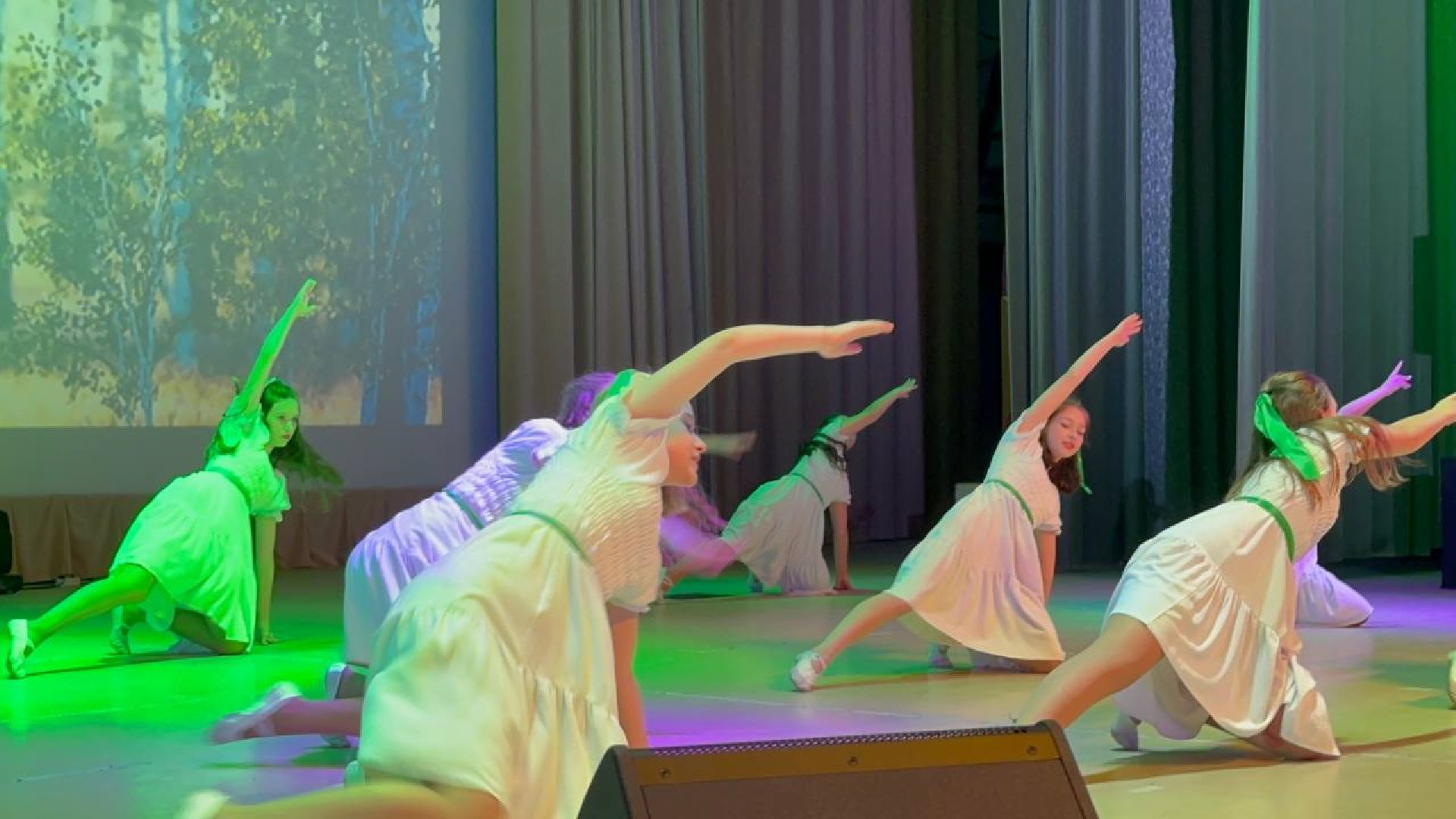 день народного единства, праздничный концерт, россия многонациональная, Наро-Фоминск,