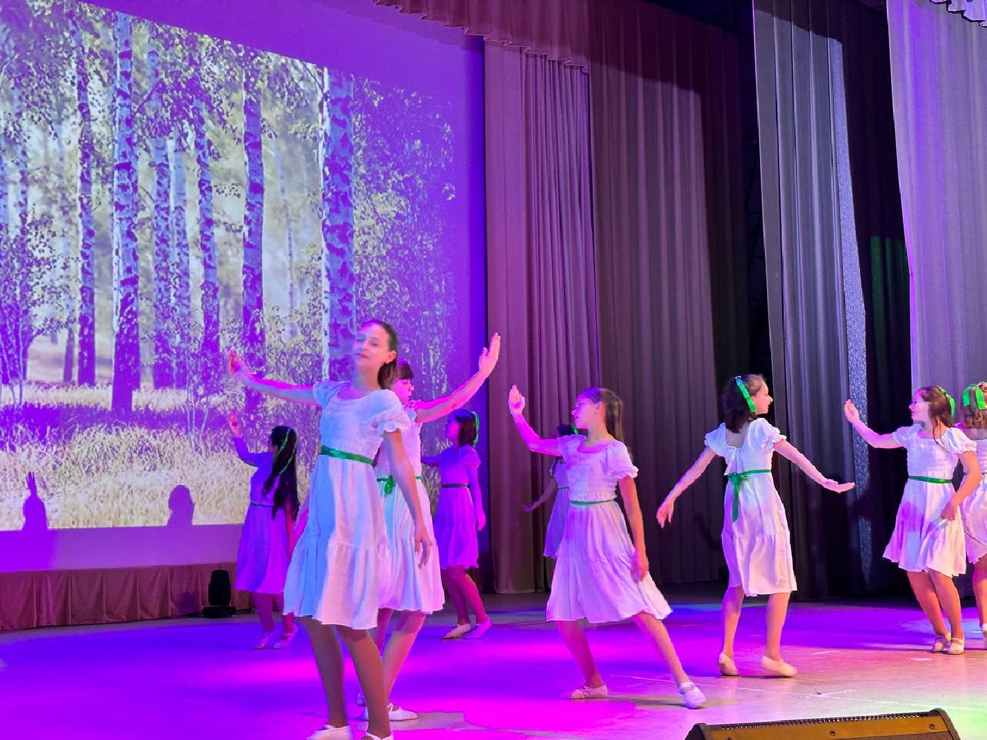 день народного единства, праздничный концерт, россия многонациональная, Наро-Фоминск,