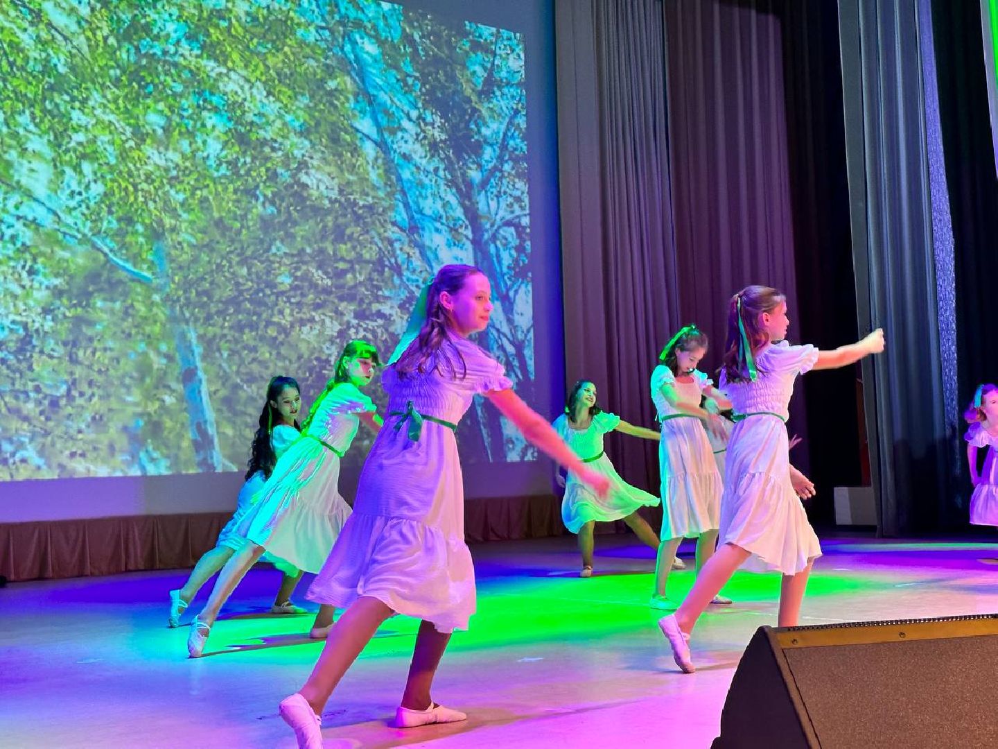 день народного единства, праздничный концерт, россия многонациональная, Наро-Фоминск,