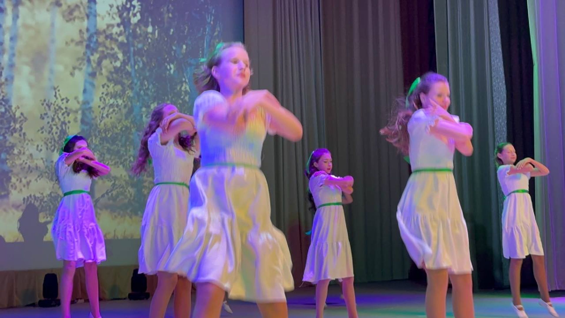 день народного единства, праздничный концерт, россия многонациональная, Наро-Фоминск,