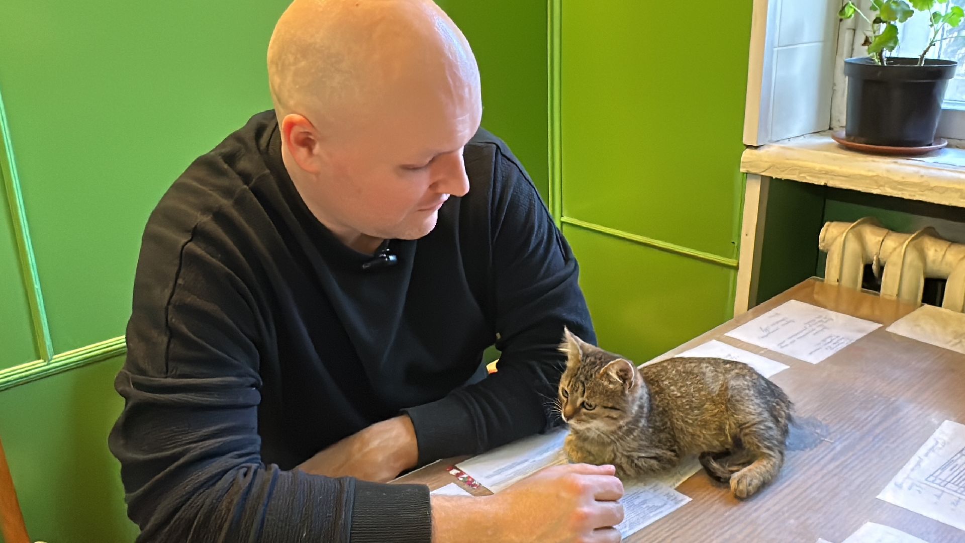 Одинцово, Спасение, Добрые сердца, Вяземы,