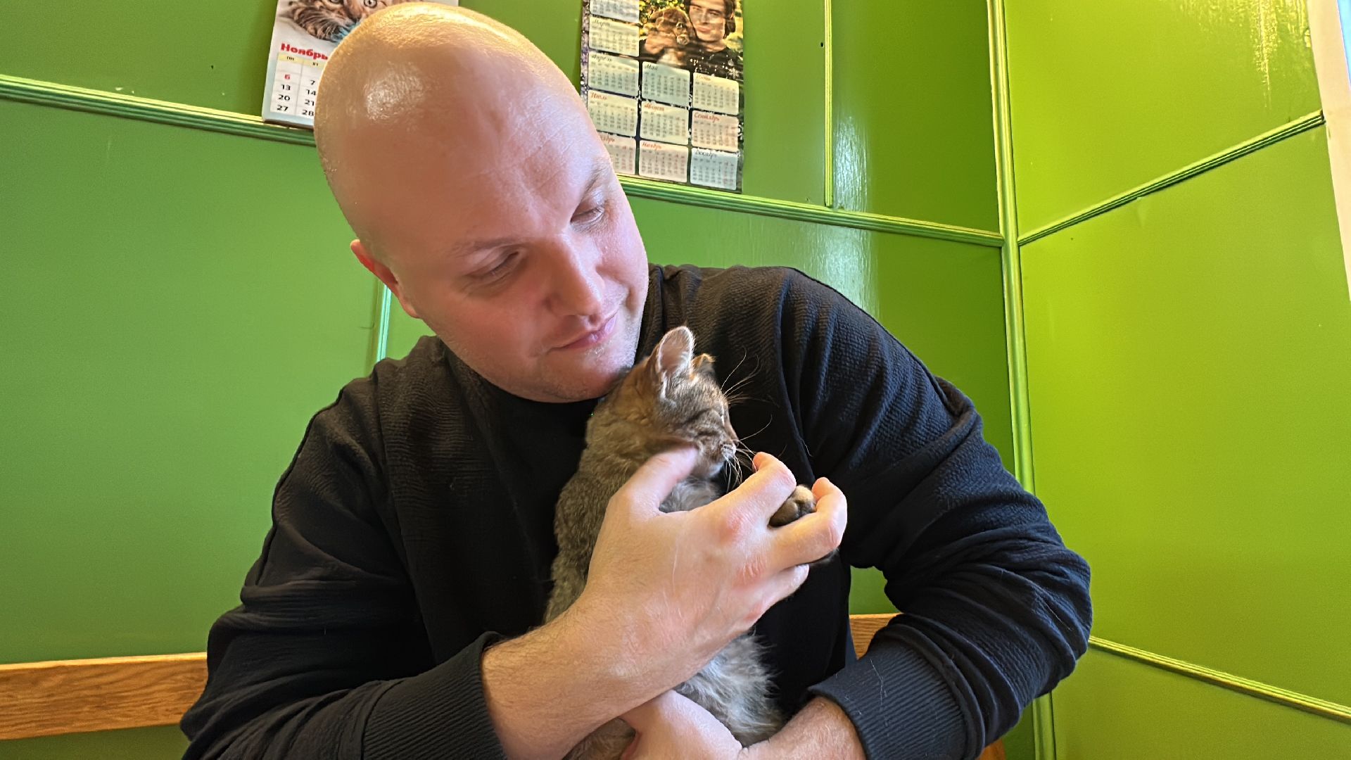 Одинцово, Спасение, Добрые сердца, Вяземы,