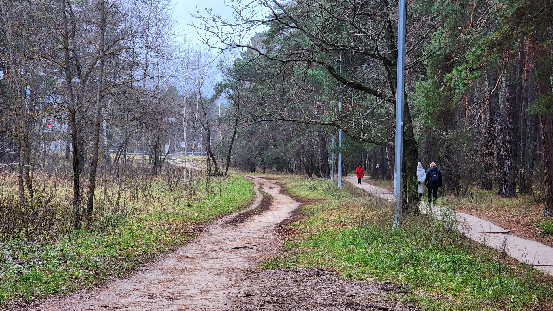 обход, наказы жителей, протвино, лощина, благоустройство,