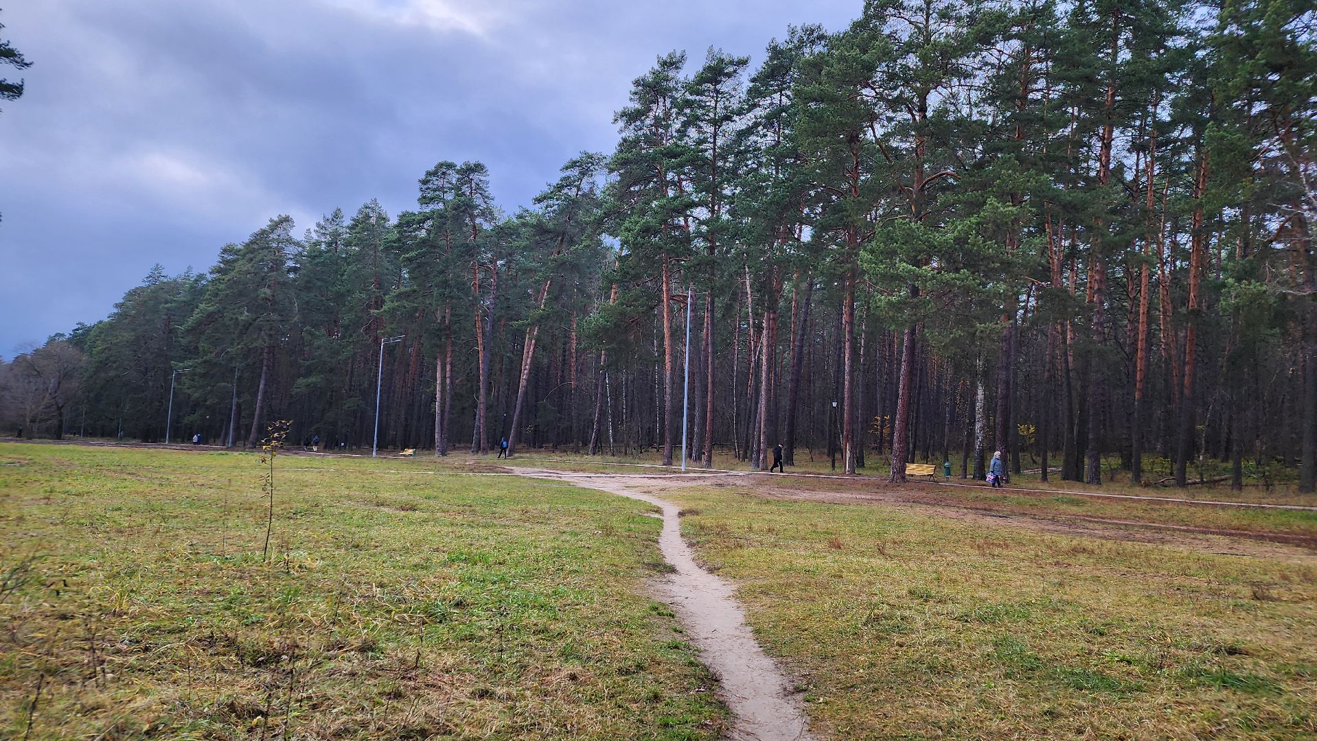 обход, наказы жителей, протвино, лощина, благоустройство,