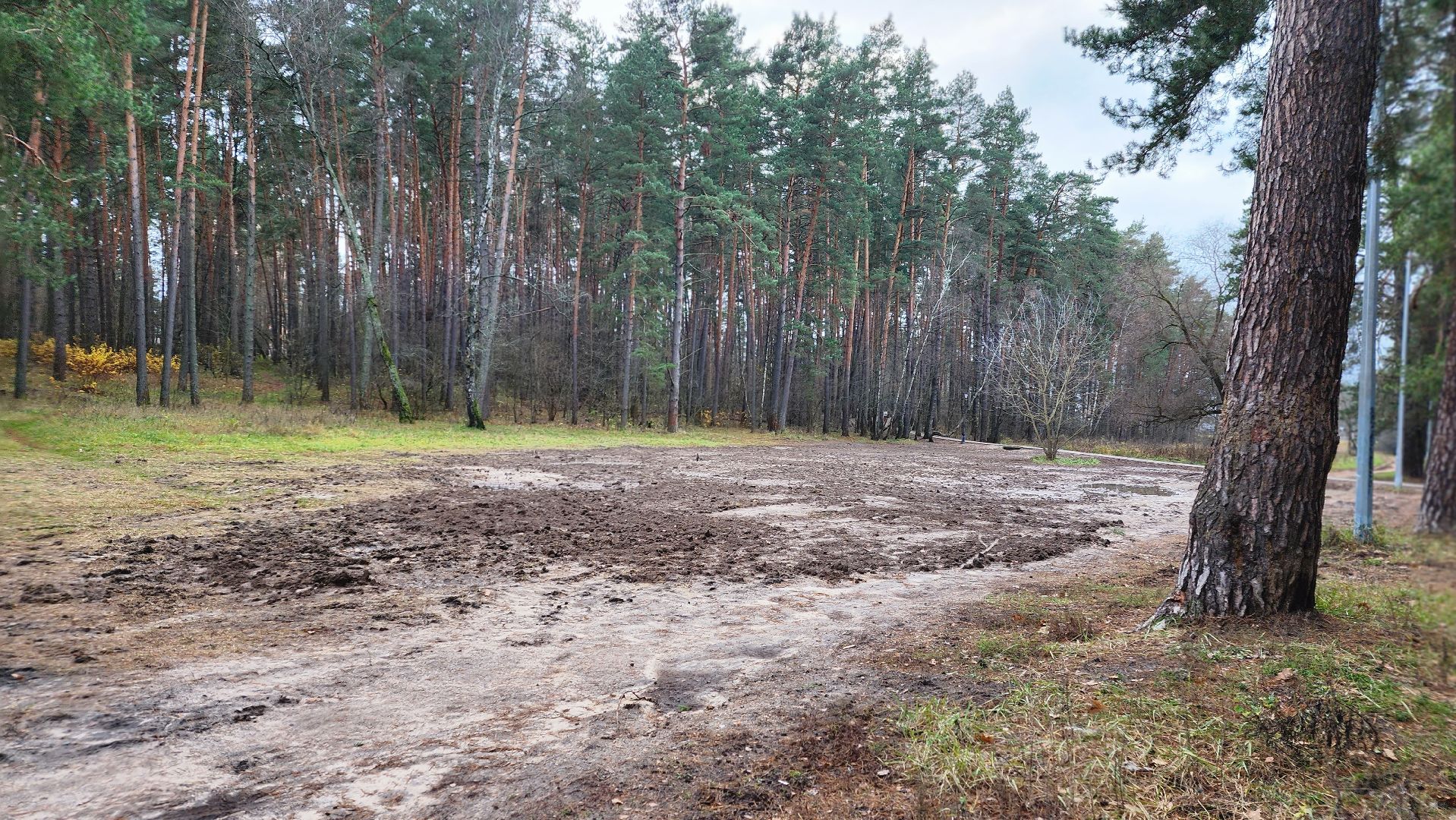 обход, наказы жителей, протвино, лощина, благоустройство,