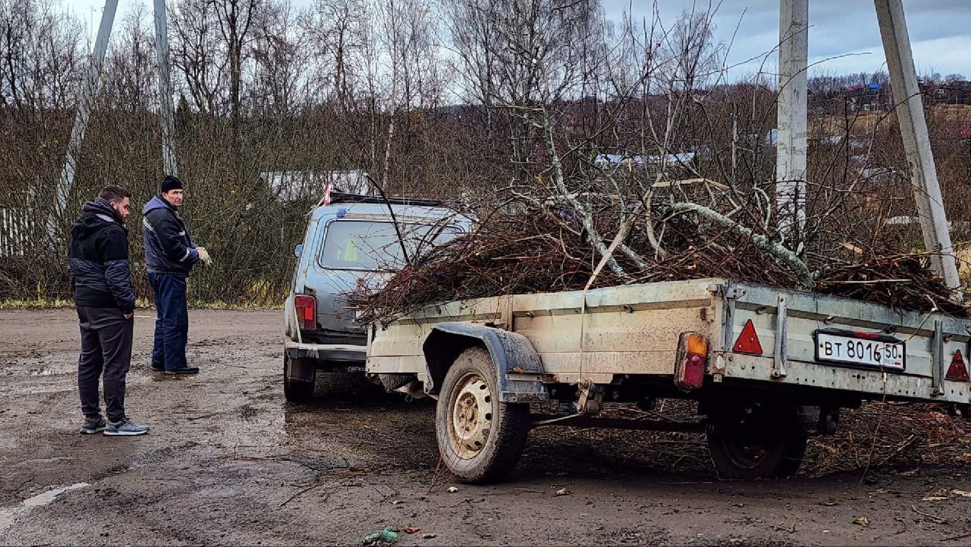 Дмитров, Подъячево, Минблаго,