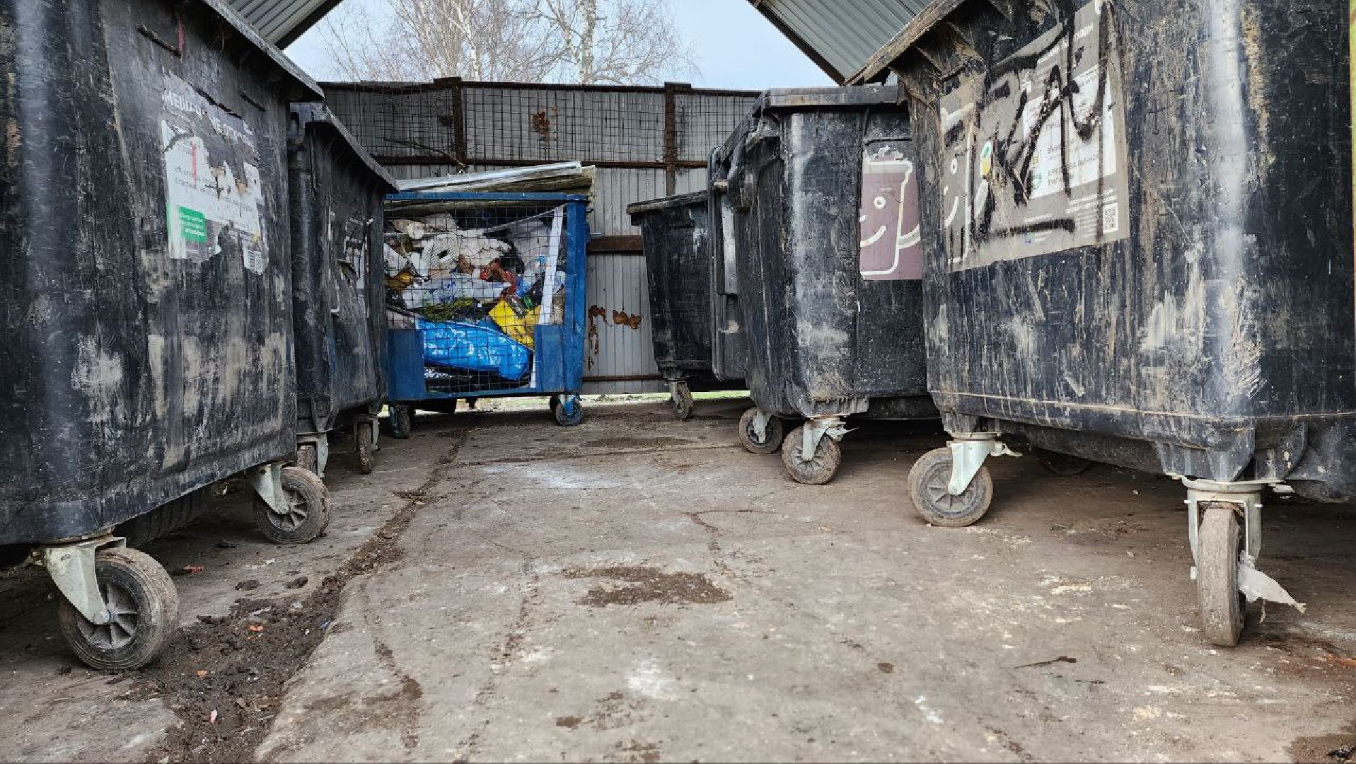 Дмитров, Подъячево, Минблаго,