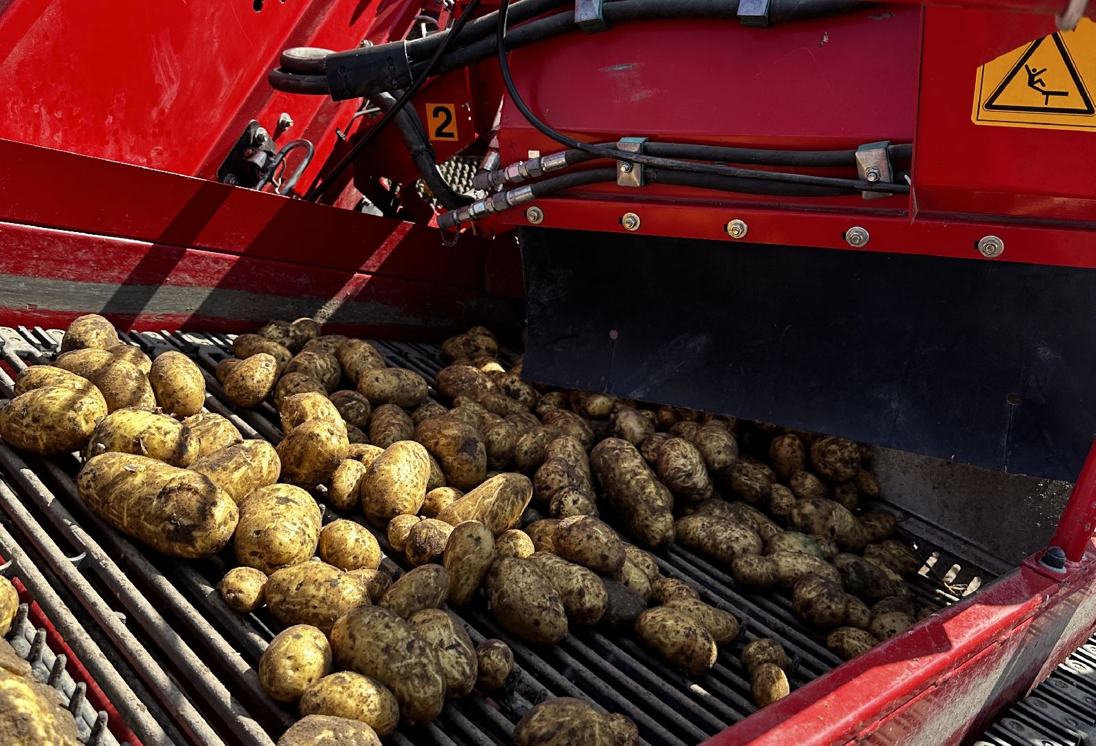 Клин, общество, экономика, сельское хозяйство,