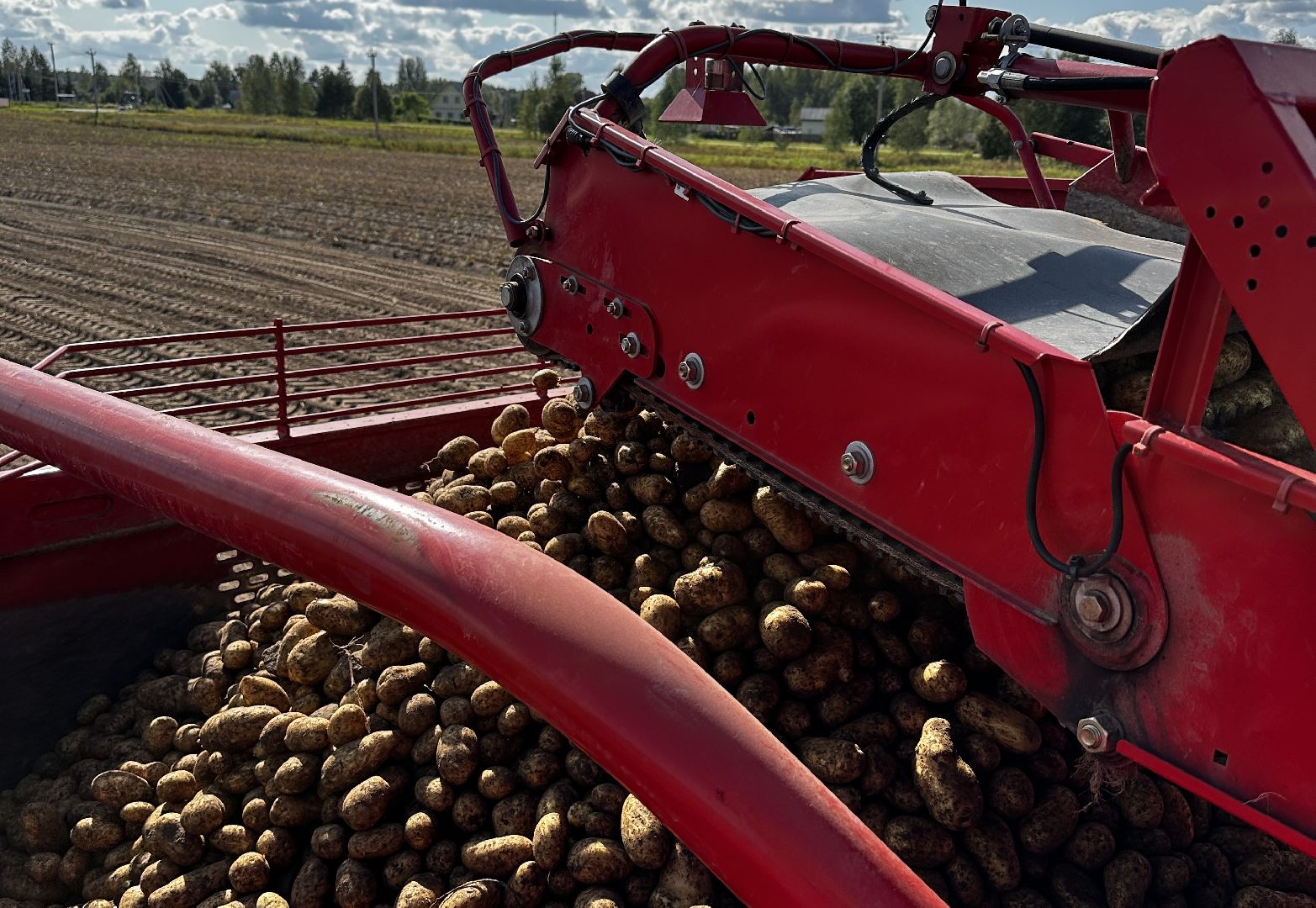 Клин, общество, экономика, сельское хозяйство,