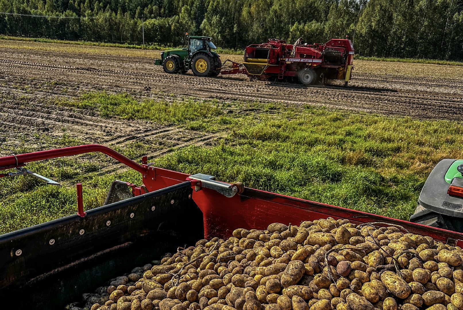 Клин, общество, экономика, сельское хозяйство,
