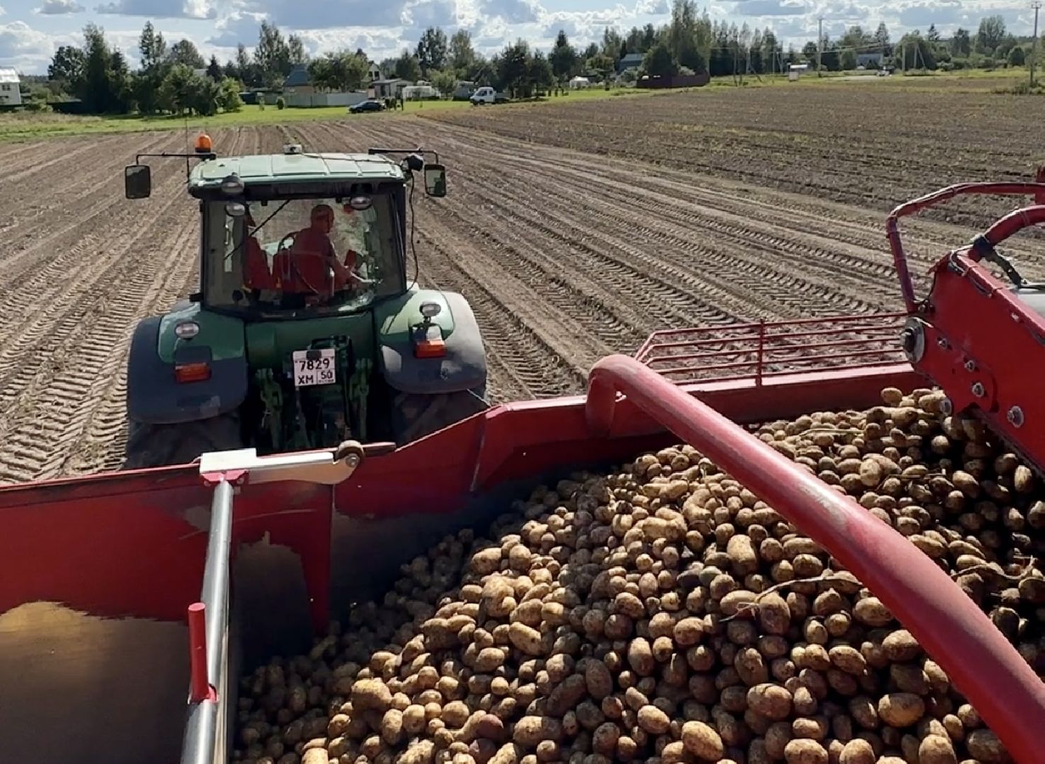 Клин, общество, экономика, сельское хозяйство,