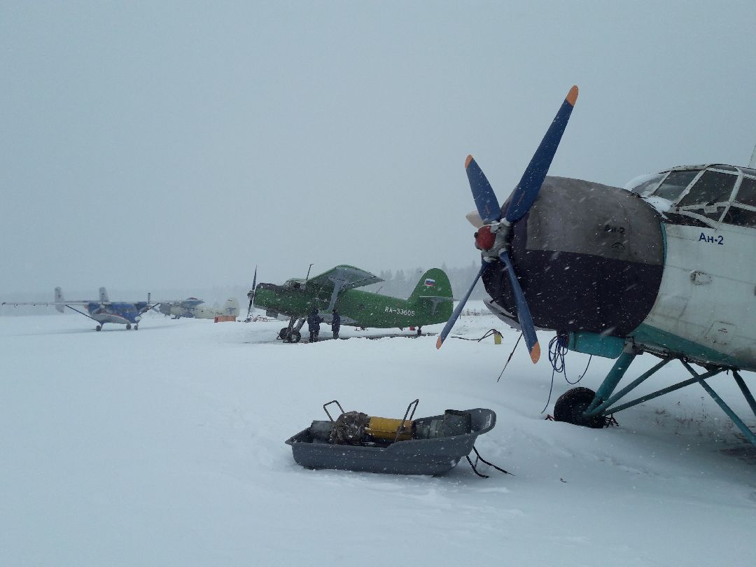 Спорт, Парашютисты, Ватулино, Аэроклассика