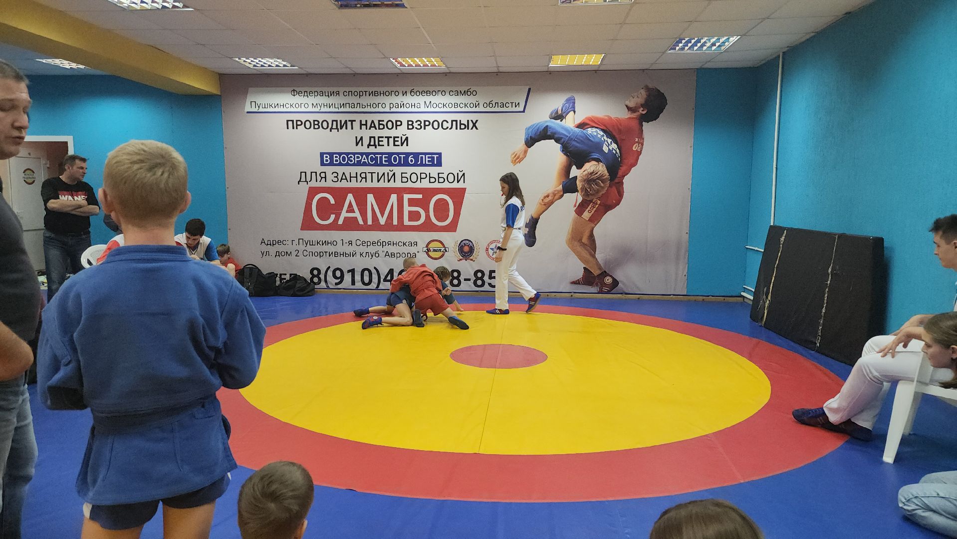 zа самбо, спорт, самбо 70, Пушкино, Городской округ Пушкинский, единоборства,